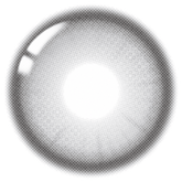 Lenstown It's Me Grande Coco Gray Monthly (2 Pack)